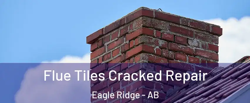  Flue Tiles Cracked Repair Eagle Ridge - AB