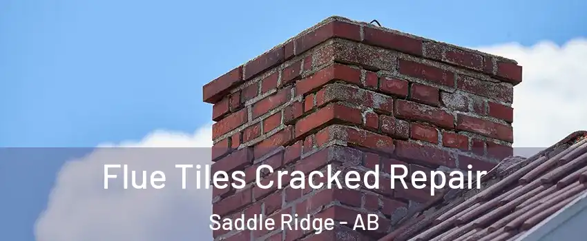  Flue Tiles Cracked Repair Saddle Ridge - AB