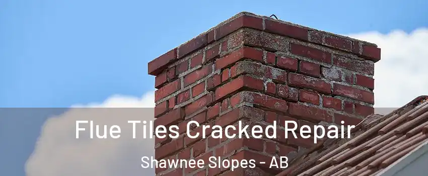  Flue Tiles Cracked Repair Shawnee Slopes - AB