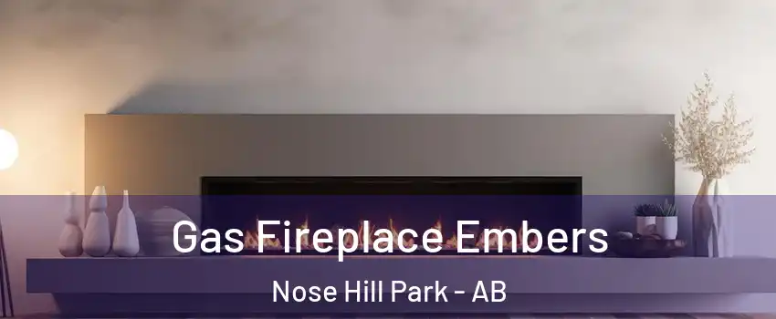  Gas Fireplace Embers Nose Hill Park - AB