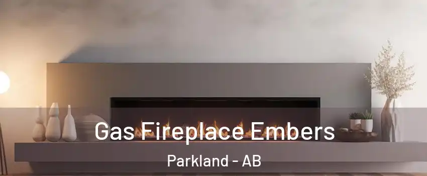  Gas Fireplace Embers Parkland - AB