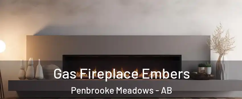  Gas Fireplace Embers Penbrooke Meadows - AB