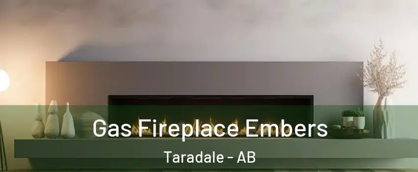  Gas Fireplace Embers Taradale - AB