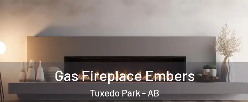  Gas Fireplace Embers Tuxedo Park - AB