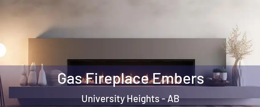  Gas Fireplace Embers University Heights - AB