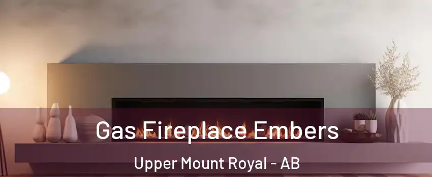  Gas Fireplace Embers Upper Mount Royal - AB