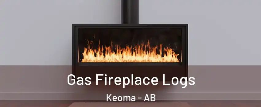  Gas Fireplace Logs Keoma - AB