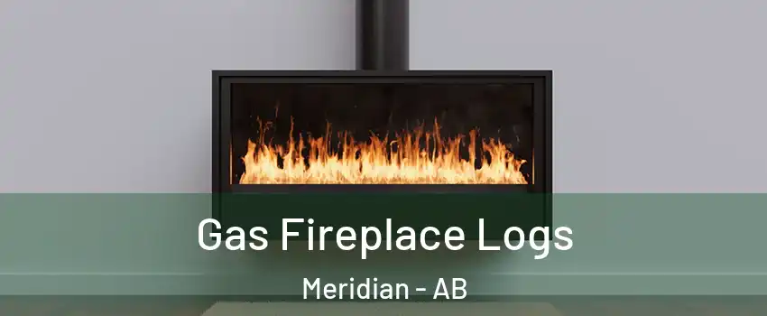  Gas Fireplace Logs Meridian - AB