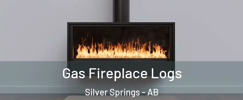  Gas Fireplace Logs Silver Springs - AB