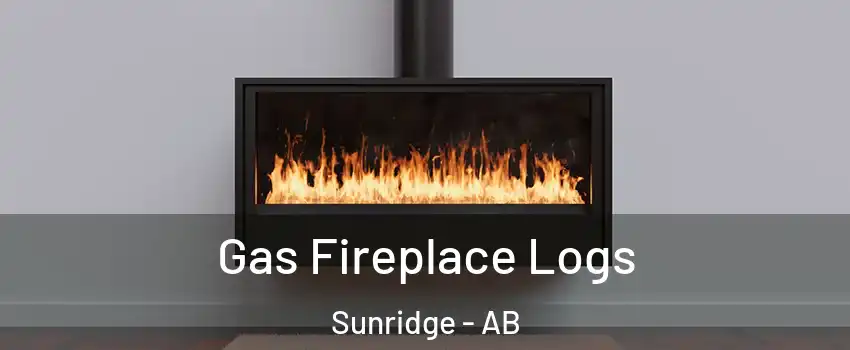  Gas Fireplace Logs Sunridge - AB
