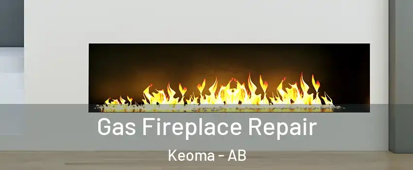  Gas Fireplace Repair Keoma - AB