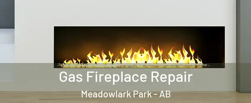  Gas Fireplace Repair Meadowlark Park - AB