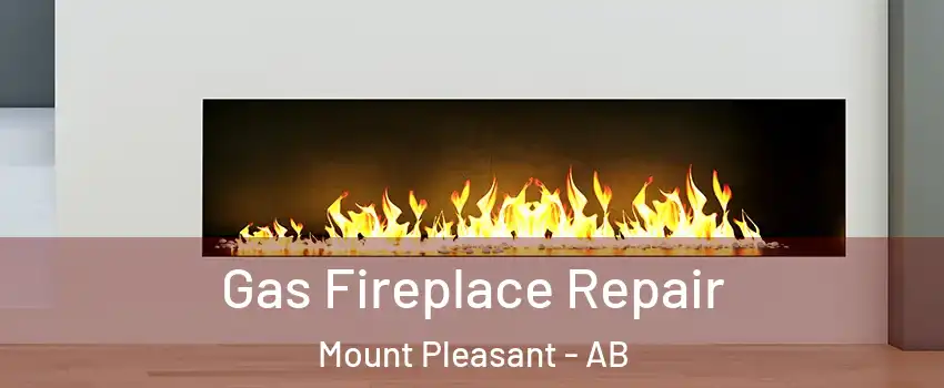  Gas Fireplace Repair Mount Pleasant - AB
