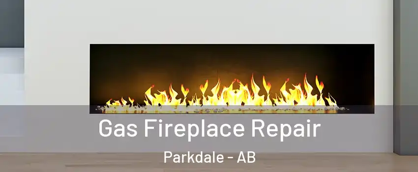  Gas Fireplace Repair Parkdale - AB