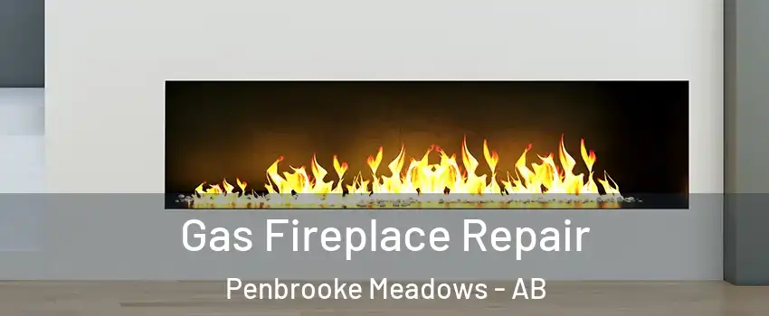  Gas Fireplace Repair Penbrooke Meadows - AB