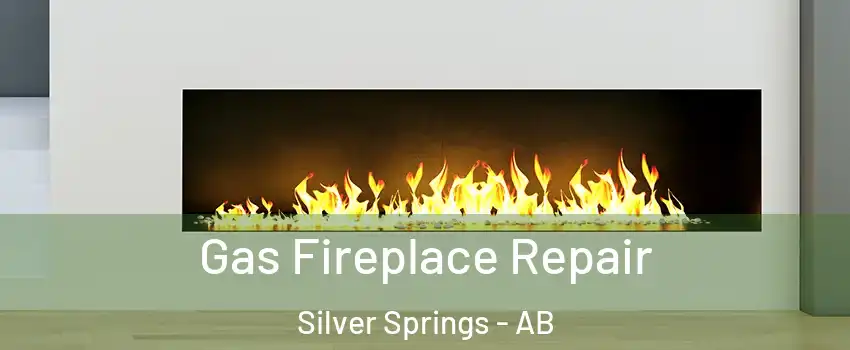  Gas Fireplace Repair Silver Springs - AB