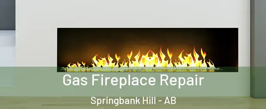  Gas Fireplace Repair Springbank Hill - AB