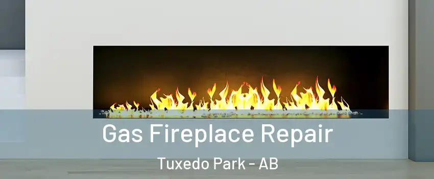  Gas Fireplace Repair Tuxedo Park - AB
