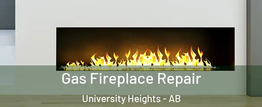  Gas Fireplace Repair University Heights - AB