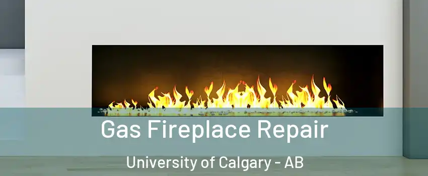  Gas Fireplace Repair University of Calgary - AB