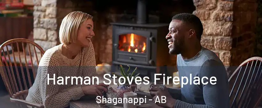  Harman Stoves Fireplace Shaganappi - AB