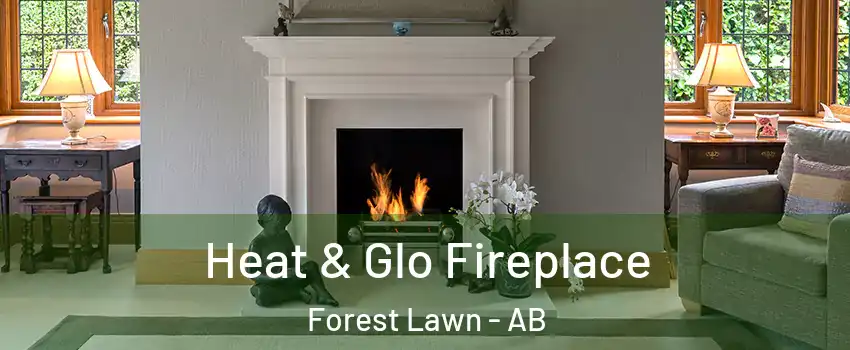  Heat & Glo Fireplace Forest Lawn - AB