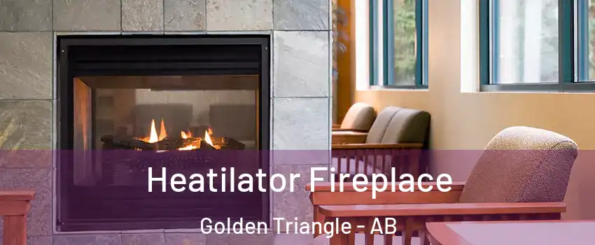  Heatilator Fireplace Golden Triangle - AB