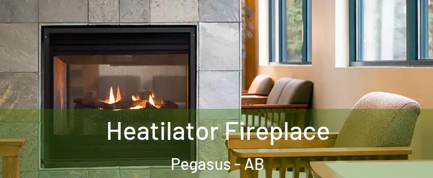  Heatilator Fireplace Pegasus - AB