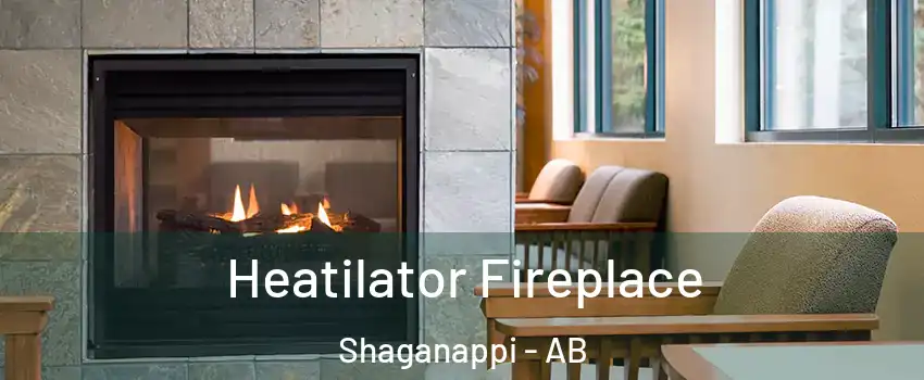  Heatilator Fireplace Shaganappi - AB