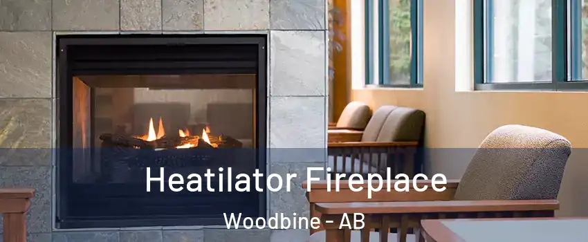 Heatilator Fireplace Woodbine - AB