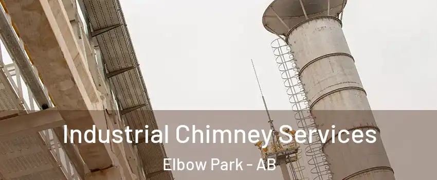  Industrial Chimney Services Elbow Park - AB