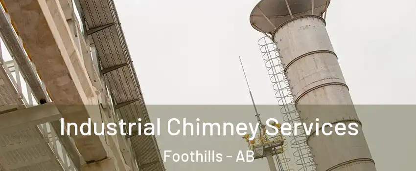  Industrial Chimney Services Foothills - AB
