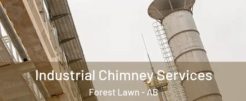  Industrial Chimney Services Forest Lawn - AB