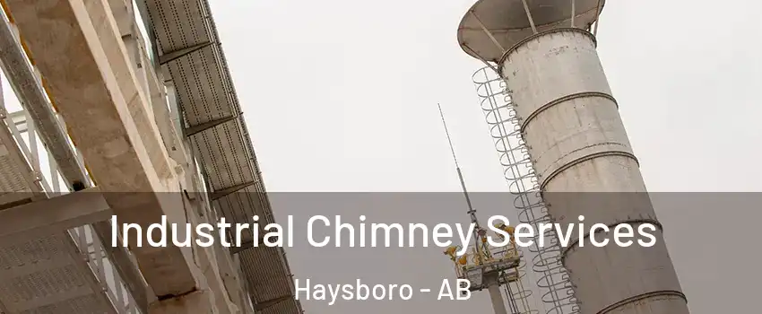  Industrial Chimney Services Haysboro - AB