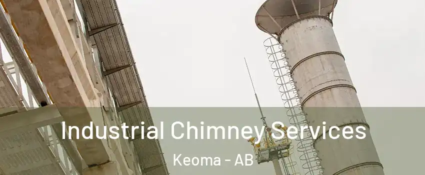  Industrial Chimney Services Keoma - AB