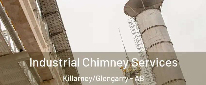  Industrial Chimney Services Killarney/Glengarry - AB
