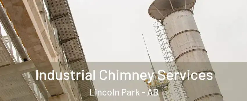  Industrial Chimney Services Lincoln Park - AB