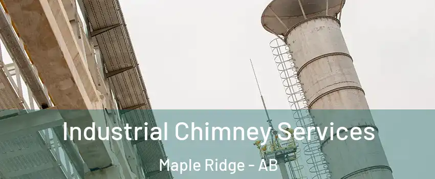  Industrial Chimney Services Maple Ridge - AB