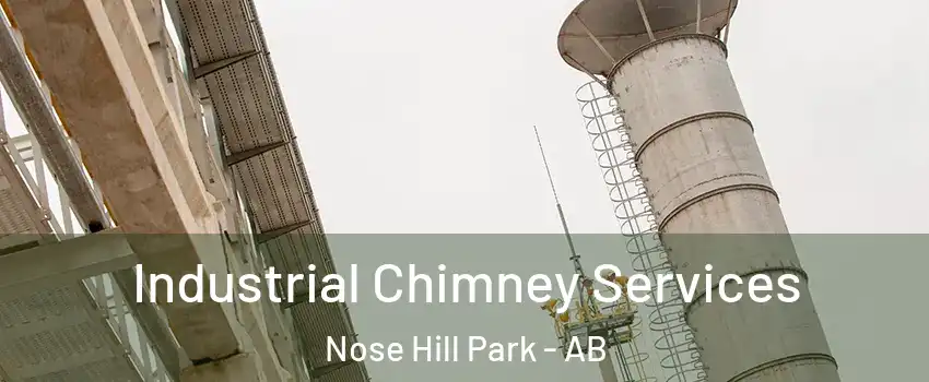 Industrial Chimney Services Nose Hill Park - AB