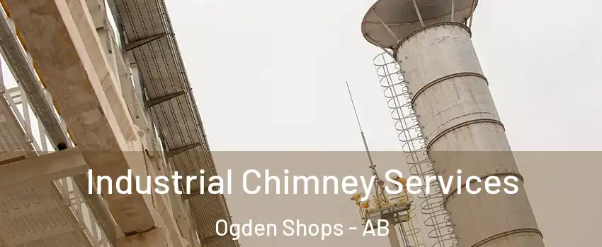  Industrial Chimney Services Ogden Shops - AB