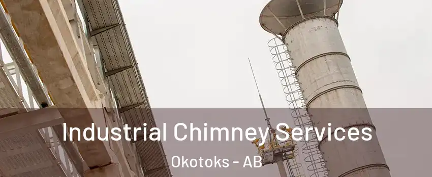  Industrial Chimney Services Okotoks - AB