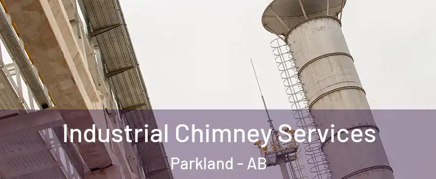  Industrial Chimney Services Parkland - AB