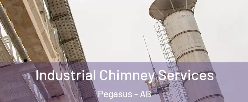  Industrial Chimney Services Pegasus - AB