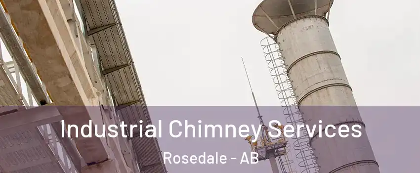  Industrial Chimney Services Rosedale - AB