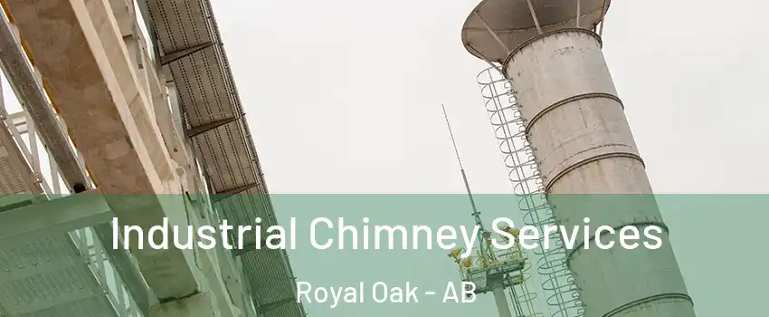  Industrial Chimney Services Royal Oak - AB