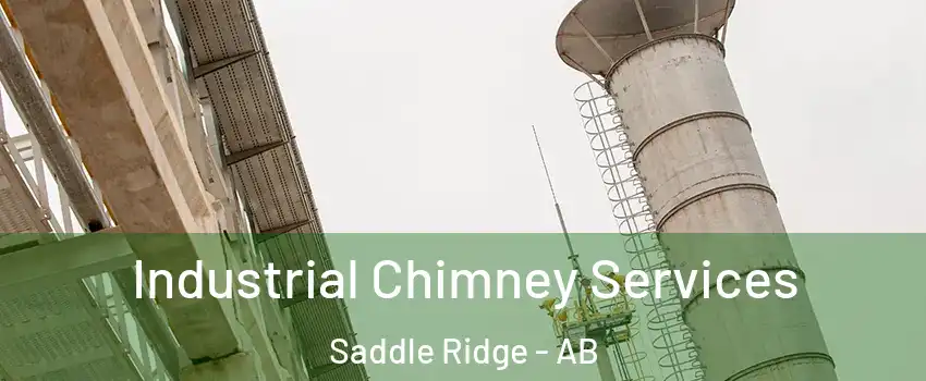  Industrial Chimney Services Saddle Ridge - AB