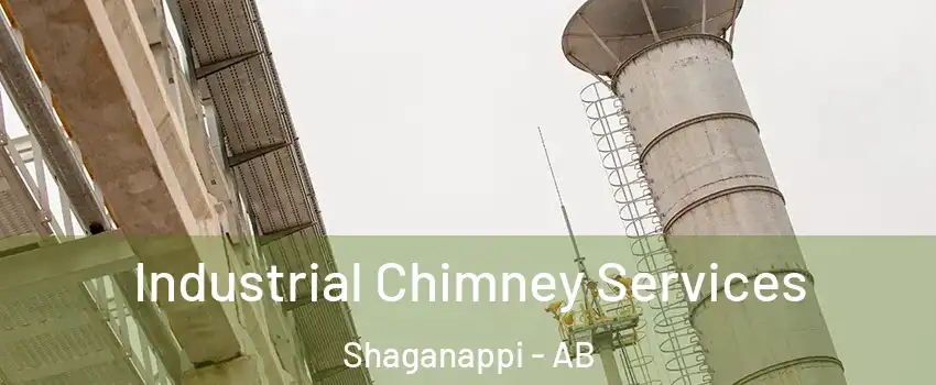 Industrial Chimney Services Shaganappi - AB