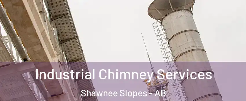  Industrial Chimney Services Shawnee Slopes - AB