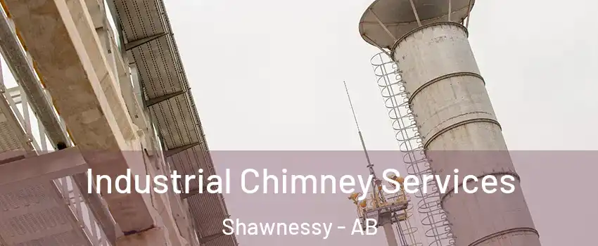  Industrial Chimney Services Shawnessy - AB