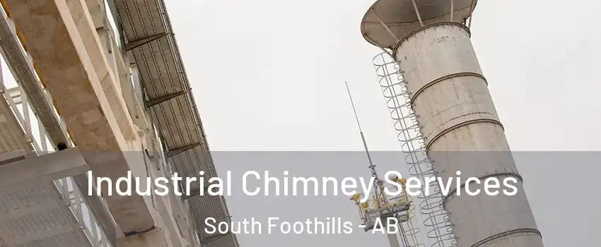  Industrial Chimney Services South Foothills - AB